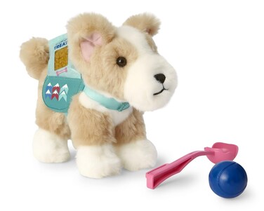 American Girl Corinne Tan Girl of the Year 2022 18inch Doll Corinnes Dog Pet Flurry wBackpack and Treats For Ages 8