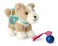 American Girl Corinne Tan Girl of the Year 2022 18inch Doll Corinnes Dog Pet Flurry wBackpack and Treats For Ages 8