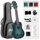 WINZZ HAND RUBBED Series  21 Inches Soprano Ukulele Vintage Hawaiian Uke with Online Lessons Bag Tuner Strap Extra Strings Fingerboard Sticker Dark Hunter Green