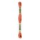 DMC Six Strand Embr Floss Lt Alizarin