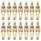 Skeleton Body Skull Charms
