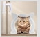 EGETOTA Cat Door Interior Door up to 25 lbs Large Indoor Pet Door Gate Hole Pass Through for Dogs and Kittens Easy to Install Inner Diameter 866