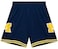 University of Michigan Mens Road 1991 Swingman Shorts