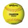 WILSON A ASA  Softball Dzn 1