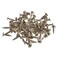 Rok Hardware #8 x 3/4" Deep Coarse Thread Phillips Modified Truss Head Nickel Screws Wood MDF ROKS8X34MTPCN (100, Nickel)