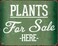 ZMKDLL Plants for Sale Garden Centre Allotment Greenhouse Flowers Metal Tin Sign,12x8 Inches-L8