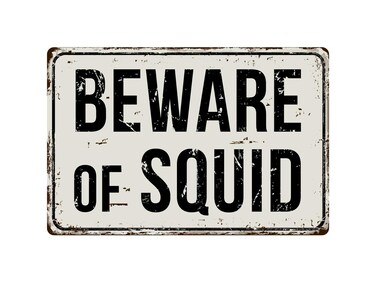 Deerts 523VS Beware of Squid 8&rdquo; x 12&rdquo; Vintage Aluminum Retro Metal Sign