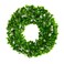 Nearly Natural 13in. Jasmine Artificial Wreath