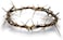 Authentic Biblical Lifesize 8" Crown of Thorns w/ Certificate