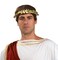Forum Novelties, Roman Laurel Wreath Gold Leaf Headband Men's Costume Accessory