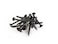 WoodPro Fasteners DWPC6X114-1 Number-6 by 1-1/4-Inch Coarse Drywall Screws, Number-2 Phillips, 1-Pound Net Weight, 284-Piece
