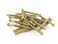 WoodPro Fasteners TH7X2-1 Number-7 by 2-Inch Trim Head Wood Construction Screws, T10, 1-Pound Net Weight, 174-Piece , Gold