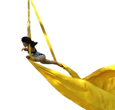 Dasking Premium Aerial Silks Equipment - Safe Deluxe Aerial Kit (Yellow)