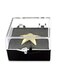 PinMart Clear Plastic Gift Box For Pin With Protective Foam 10 Pack