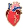 REAL SIC Anatomical Heart Pin - Realistic, Scientific Heart Enamel Pin - Lapel Pin for Valentine's Day, Medical Pinning Ceremony on Backpacks, Hats, Bags, Jackets &amp; Tops