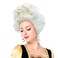 Wraith of East Colonial Wigs Ladies 18th Century Marie Antoinette Cosplay Adult Women, Silver