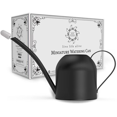 Small Watering Can for Indoor Plants - Mini Watering Can - Black Watering Can