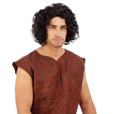 Adults Medieval Wig Mens Curly Black Hair Historical Costume Accessory