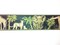 Dark Moss Jungle Animals Wallpaper Border by York