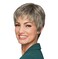 Hair u wear Perfect (Eva Gabor) - Petite Wig EG-PIXIE-PERFECT-PETITE GL38-48 Sugared Smoke