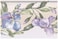 Prepasted Wallpaper Border - Purple Blue Flowers on Vine Scalloped Floral Wall Border Retro Design, Roll 15 ft. x 7 in.