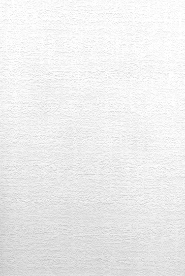Brewster 497-67474 Egg Shell Plaster Wallpaper, Paintable