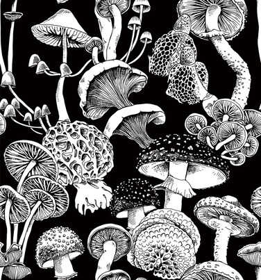 BEETAL Black White Mushroom Dark Modern Plants Forest Line Drawing Peel and Stick Wallpaper Easy Peel Off Contact Paper Stick on Adhesive Wall Paper for Bathroom Waterproof Renter Friendly