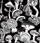 BEETAL Black White Mushroom Dark Modern Plants Forest Line Drawing Peel and Stick Wallpaper Easy Peel Off Contact Paper Stick on Adhesive Wall Paper for Bathroom Waterproof Renter Friendly