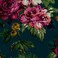 Joules Graham &amp; Brown Invite Floral Peacock Wallpaper, Rose