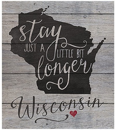 Kindred Hearts 12"x13.5" Wisconsin State Slogan Pallet Board Wall Art, Multi Color