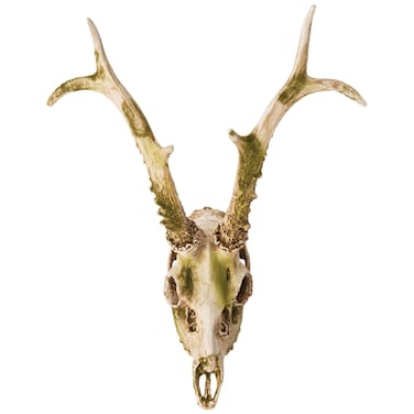 Decorative Resin Faux Deer Skull - 11.6" x 12" x 13.2"   Unique Wall Art &amp; Home Decor Accents