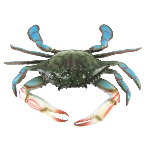 Lifelike Maryland Blue Crab Nautical Plaque Wall Mount Coastal Tiki Bar Decor Lifelike Maryland Blue Crab Nautical Plaque Wall Mount Coastal Tiki Bar Decor
