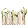 Two's Company Hinged Flower Vases - Decorative Metal and Glass Vases, Gold Leaf Design, Modern Home Decor, Unique Centerpiece Vases, Versatile Giftable Decorative Items - Set of 10