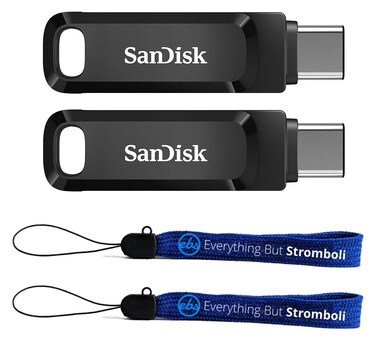 SanDisk Ultra 1TB Dual Drive Go (2 Pack) Type-C Flash Drive for Smartphone, Tablet, Computer (SDDDC3-1T00-G46) 2-in-1 USB Pen Drive Type-A &amp; Type-C Bundle with (2) Everything But Stromboli Lanyards