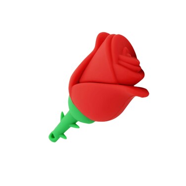 WooTeck 128GB Cartoon Lovely Rose Flower USB Flash Drive