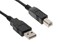 FocalTop USB Cable for Brother HL-8050N HL-L2300D Printer