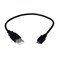 QVS USB Cable - 1 Ft - Black (CC2218C-01)