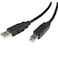 StarTech.com 6 ft. (1.8 m) USB Printer Cable - USB 2.0 A to B - Printer Cable - Black - USB A to B (USB2HAB6)