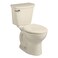American Standard 215CA004.021 Cadet Pro 1.6 GPF 2-Piece Elongated Toilet with 12-in Rough-in, Bone