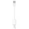 Fidioto USB Male to Lightning Female Audio Adapter Cable,Type A to Lightning Dongle Converter Support Volume Control Mic Compatible with MacBook Computer PC Headphone,Earphones, Earbuds, and More
