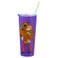 Silver Buffalo Scooby Doo Where Are You Double Walled Stainless Steel Tumbler with Straw, 22 Ounces