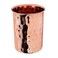 Zap Impex Pure Copper Tumbler for Drinking - Ayurveda Health Pure Copper Cup 250 ml.(8 fl oz) (Hammered)