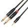 DISINO 1/8 Inch TRS Stereo to Dual 1/4 inch TS Mono Y-Splitter Cable 3.5mm Aux Mini Jack Stereo Breakout Cable Path Cords - 10 feet