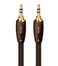 AudioQuest - Big Sur (Mini-to-Mini, 1.0m)