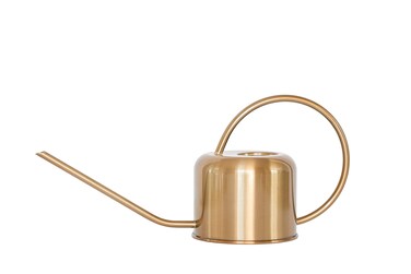 Stainless Steel Watering Can for Houseplants by Houseplant Resource Center   1L Capacity for Indoor/Outdoor Plants in Brushed Gold