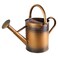 Megawodar 1 Gallon Metal Watering Can with Removable Spout, Nice Galvanized Steel Water Can for Indoor and Outdoor Plants (House Plants)