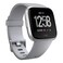 Fitbit Versa Smart Watch, Gray/Silver Aluminium, One Size (S &amp; L Bands Included)