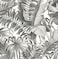A-Street Prints 2744-24134 Alfresco Black Palm Leaf Wallpaper