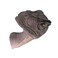 Design Toscano Giant Allosaurus Dinosaur Wall Trophy Sculpture, Mouth Closed