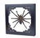 Tarantula or Leaf Insect in Gothic Shadow Box Frame   Mexican Gothic Taxidermy   Witch &amp; Halloween D&Atilde;&copy;cor for Bedroom   Goth Home D&Atilde;&copy;cor (Tarantula)